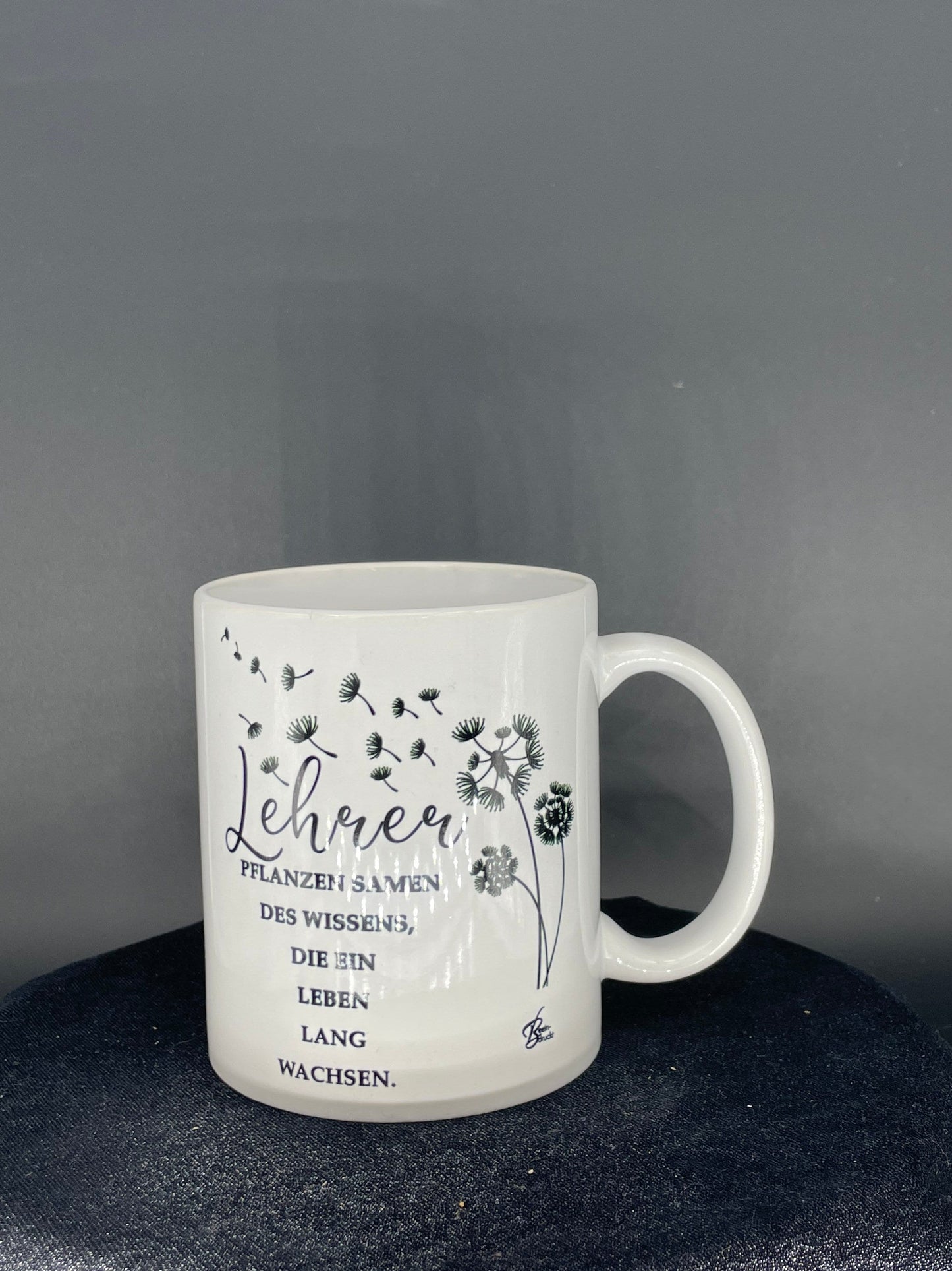 Teacher coffee cup Plant seeds of knowledge - customizable with name or message personalized available in 7 colors